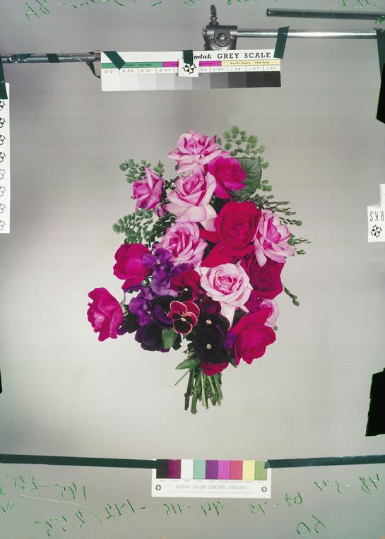 CLAIRE AHO - FLOWERS 1