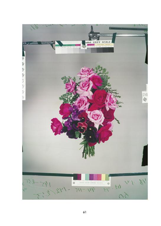 CLAIRE AHO ROSES